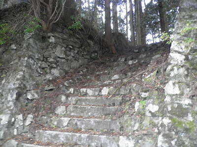 2011/11/23 11:06:36 この上