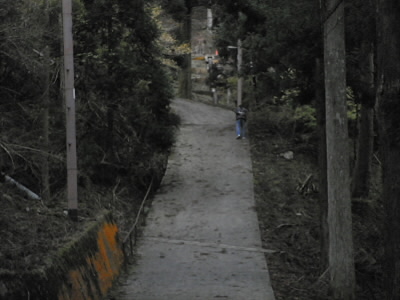 2011/11/23 11:12:15 この上が