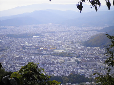 こちらはすぐにこんな景色が見られます。
でもここだけ。