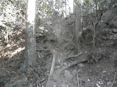 2011/12/18 10:25:38 山頂下