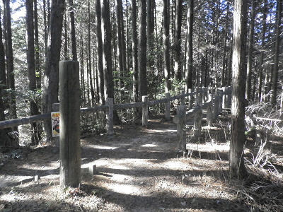 東海自然歩道に出ました。
ここを右に行くと比叡山です。
今日はここから下りるので、左に行きます。