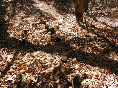 いままでと違い、よく整備されています。