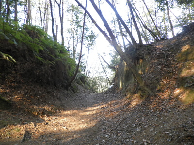 ここの右側を登ります。
左側を行くと、鏡山へ行けます。