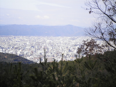 山火事あとは、木が少ないので、眺望がいいです。食事ポイントでもあります。