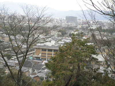 出たとこでは、高度が低いですが、台地になっていました。