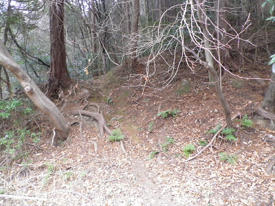 2012/01/15 10:09:07 登り口