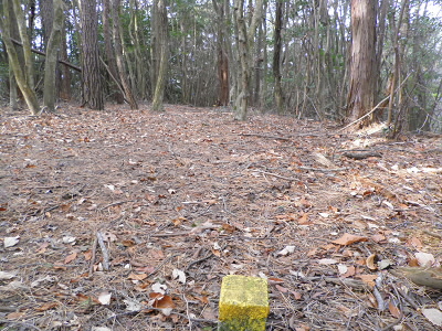 2012/01/15 10:41:06 峠への降り口