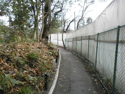 2012/01/15 13:05:34 小路