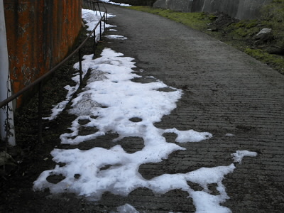 ここに来て、やっと雪を見ました。
もう、ほとんど頂上です。
雪歩きは絶望です。