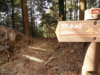 2012/03/03 12:53:07 京都トレール　北山１９