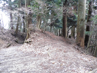 七合目を過ぎて、水尾の分かれの間にあります。
トラックをGPSに入れていたので、分かりましたが、道標もないので、普通は分からないですね。