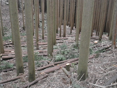 2012/04/01 10:39:19 荒神峠