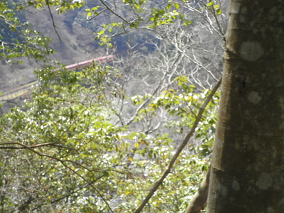 旧山陰線を走るトロッコ列車が見えました。
最初の「電車でGO」はこの路線を走るので面白いです。