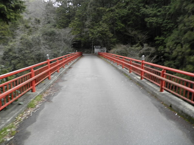 ここでトレイルに合流。