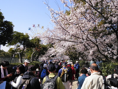 2012/04/08 09:20:20 王子公園・スタート