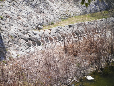 2012/04/08 11:14:32 烏原貯水池の護岸