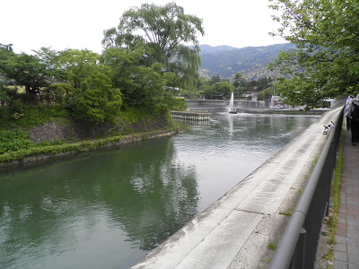 動物園の横です。岡崎の動物園は日本で上野に続き2番目の動物園です。でも規模が小さい。
このあいだ、猛獣館などがリニューアルされたらしい。