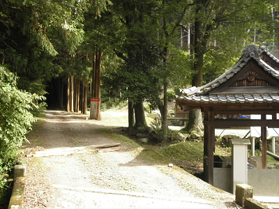 神社の左の林道を登って、大文字へいきます。