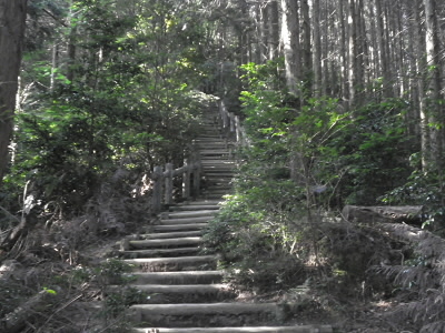 2012/07/30 08:18:48 階段