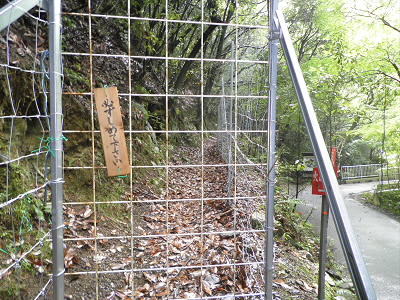 ここから、登ります。
シカかしし除けなので、開けたら閉める。
たぶん、サルは越えてくる。