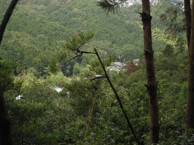 京都市内は見えないが、小山の家並みが見えます。