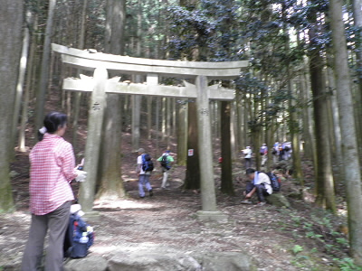 ここで、休憩して江文峠から金毘羅山へ登ります。途中、８８歳のおばぁさんとその娘さんに会いました。すごく元気でした。