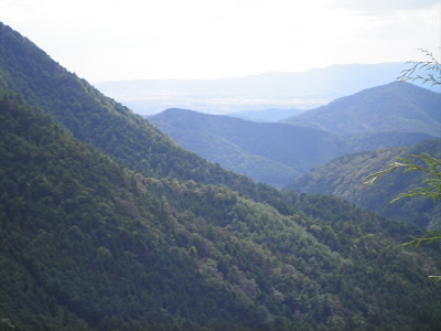 やっと山歩きらしい写真。