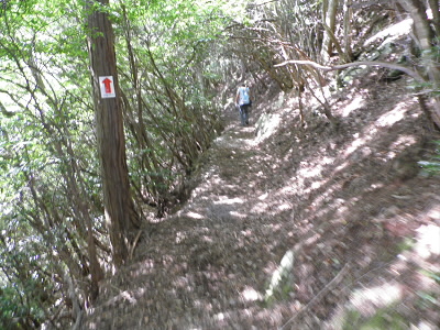 2012/09/15 13:46:24 山道