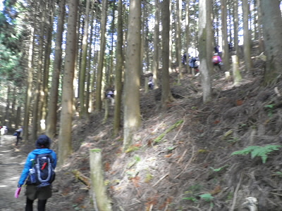 2012/10/13 11:39:06 天狗杉へ