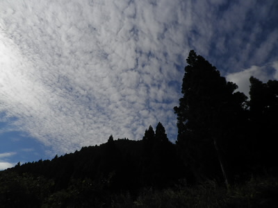 秋の雲で巻積雲と思います。
