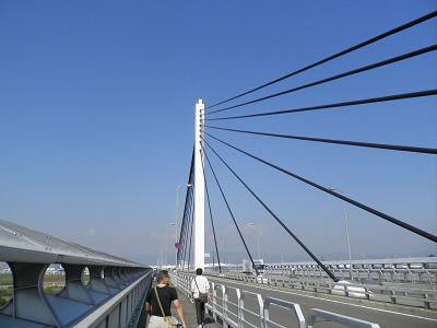 きれいな橋です。たぶん、斜張橋に分類されるんだと思います。