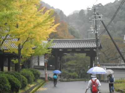2012/10/28 10:50:31 天野山金剛寺