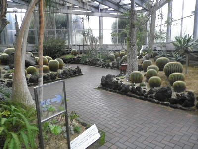 温室の中の様子。
サボテンから始まり、ランや食虫植物などが展示されています。