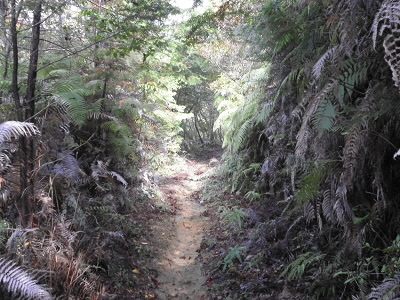 2012/11/18 10:12:49 山道