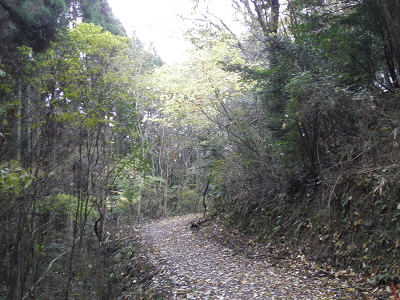 池の谷地蔵へ出る林道で、幅が広く歩きやすいです。
