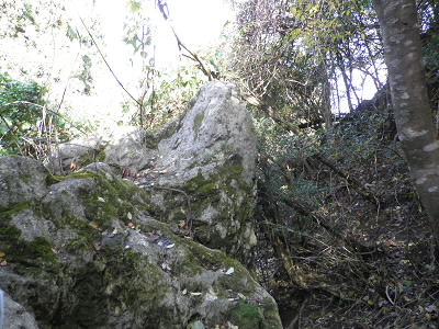 石灰岩が熱変成をうけて白い結晶質(大理石)になっているそうです。