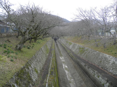 今は点検のためか、水が抜かれています。
