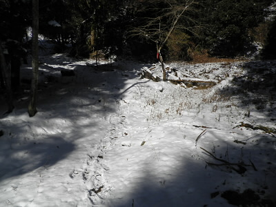 やっと雪の上を歩けます。日の当たるところは雪がなくなっていて、アイゼンの出番はまだまだです。