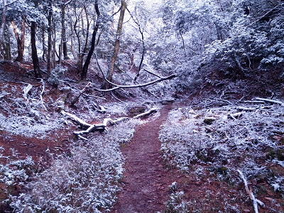 2013/02/16 09:38:46 京都トレイル