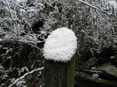 2013/02/16 09:42:51 京都トレイル