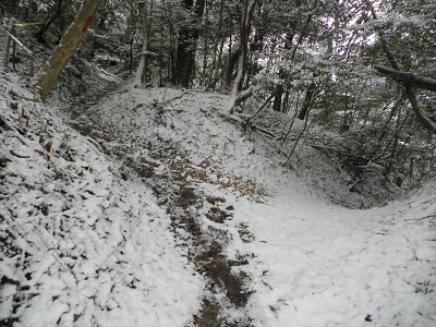 2013/02/16 10:06:39 京都トレイル