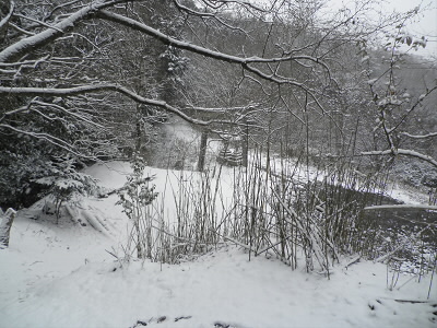 中央の石灯篭は、二の鳥居のものです。
トレイルで東山６７です。
鳥居のすぐ左の道を登って、比叡アルプスへ向かいます。
ここまでは、人が歩いた跡がありましたが、ここはからは足跡がありません。