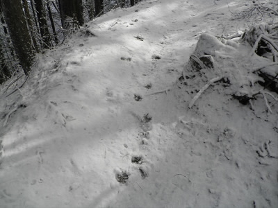 2013/02/16 10:54:46 足跡