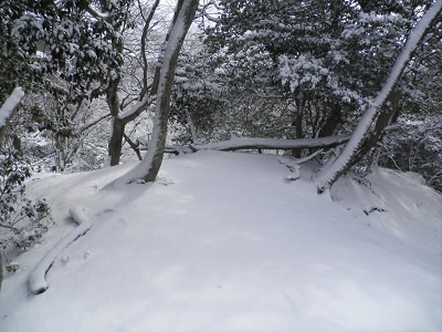 ますます。深くなりました。