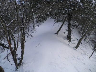 いい感じに積もっています。