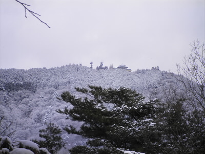 木の隙間からガーデンミュージアムが見えます。
夏場だと、葉が茂って見えないかも。