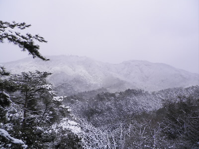 中継所内の陸橋からの景観はとても良かった。