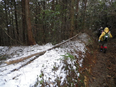 2013/02/23 09:47:25 やっと雪