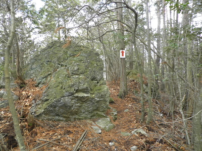 ここまで下りてくると、雪はありません。
この大きな岩はどうしてここにあるんでしょう？
他にも岩があるんかな？