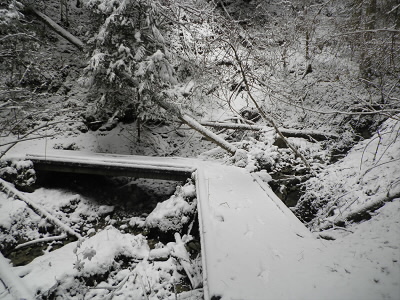 新雪なんで、アイゼンの必要はなかったです。
